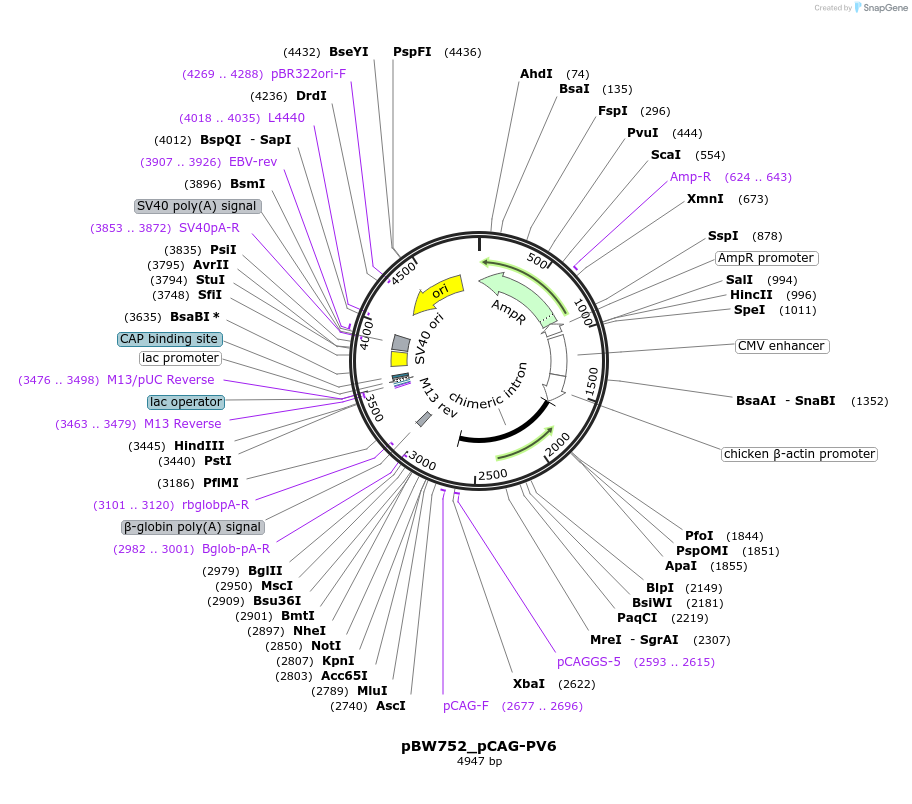 173399_map