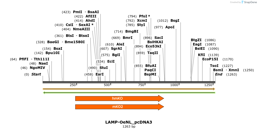 173464_map