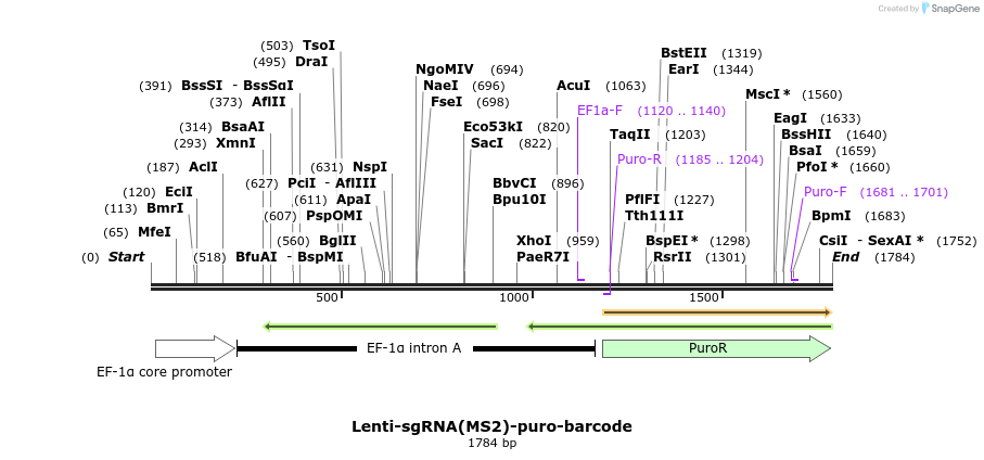 173469_map