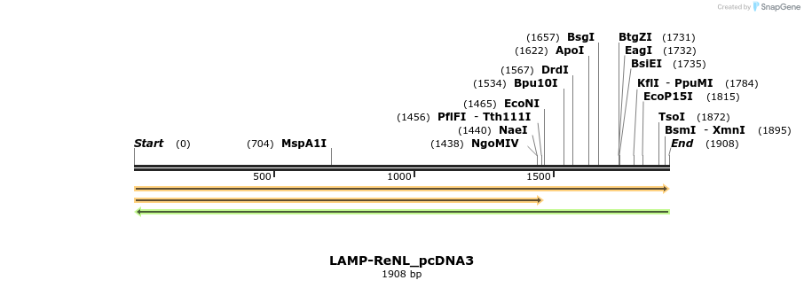 173475_map