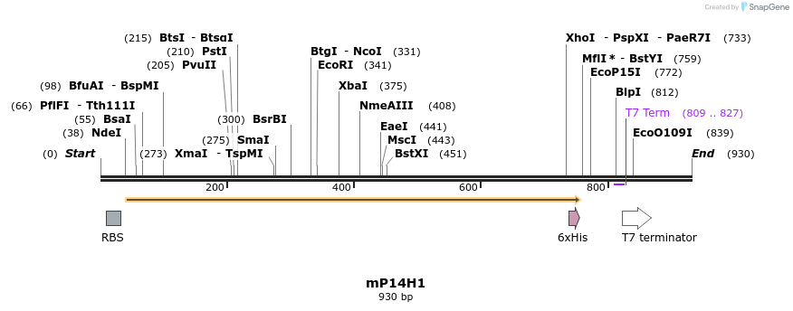 173705_map