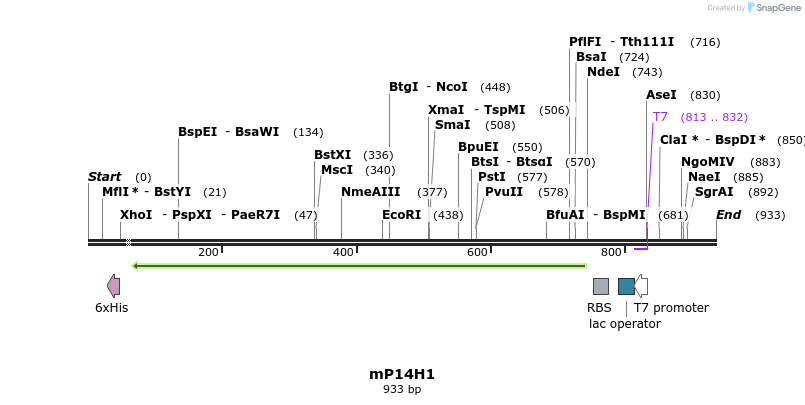 173706_map