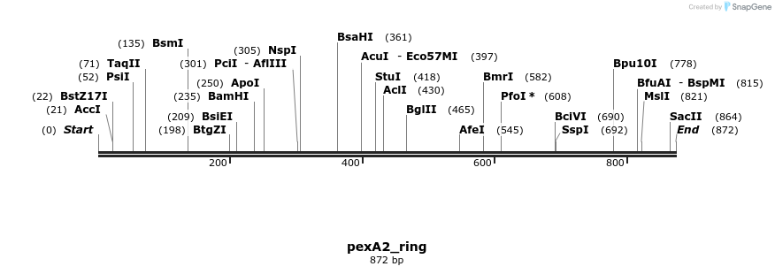 173758_map