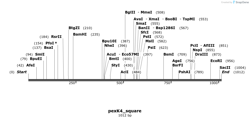 173762_map