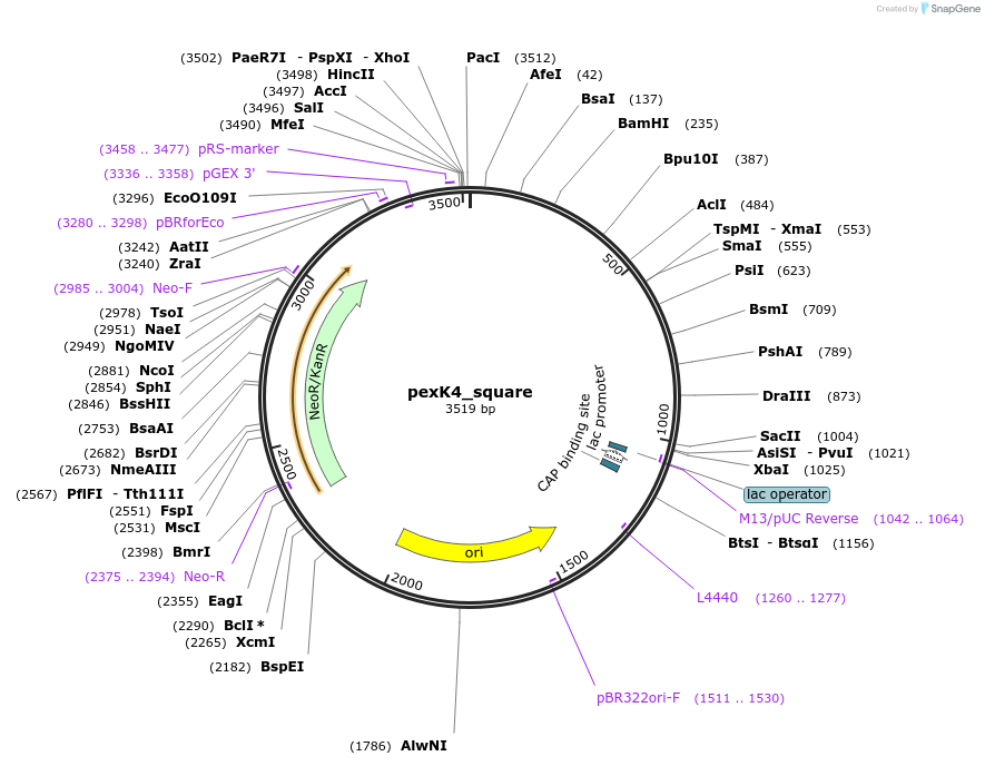 173790_map