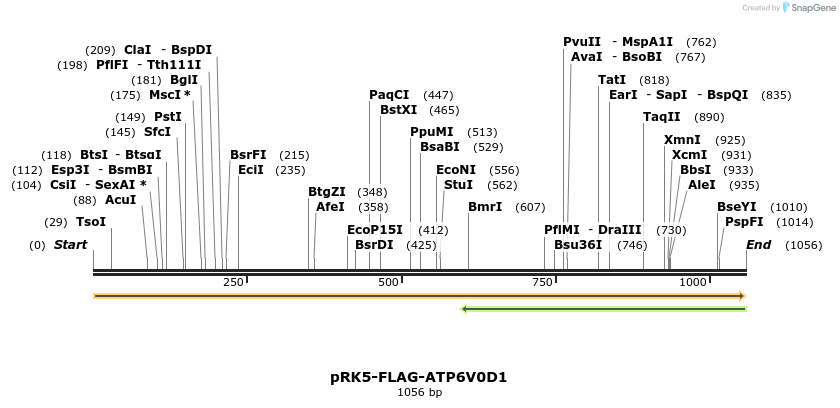 173799_map