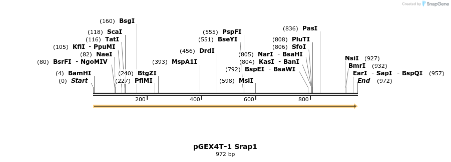 173815_map