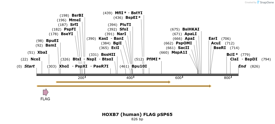 17387_map