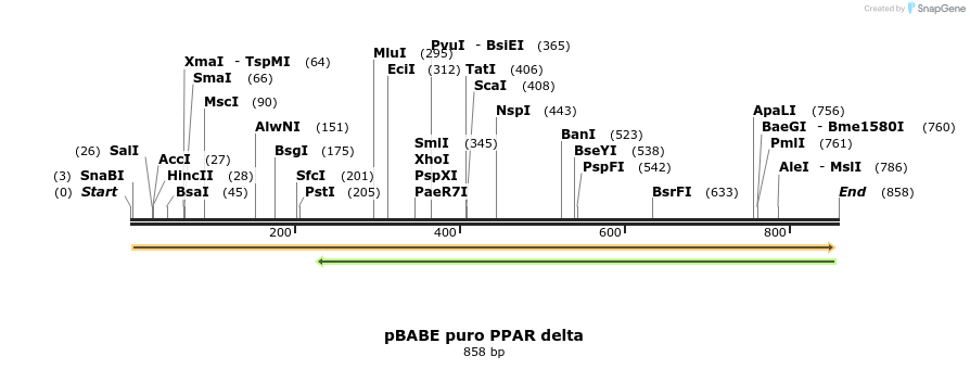 17397_map