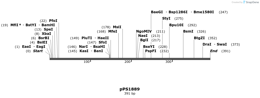 17398_map
