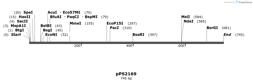 17403_map