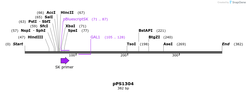 17404_map