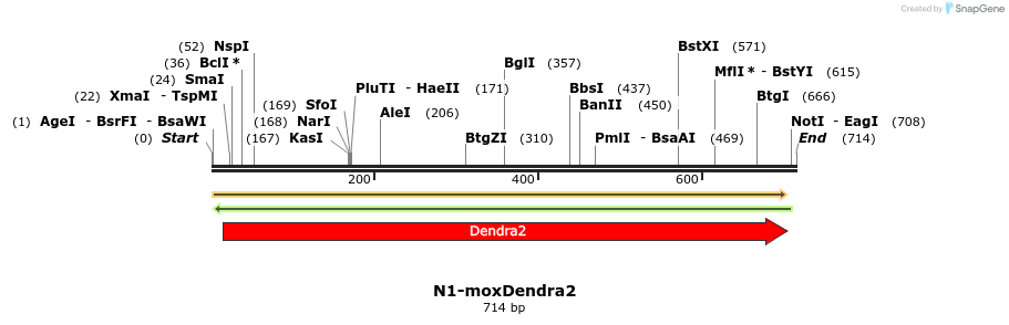174051_map