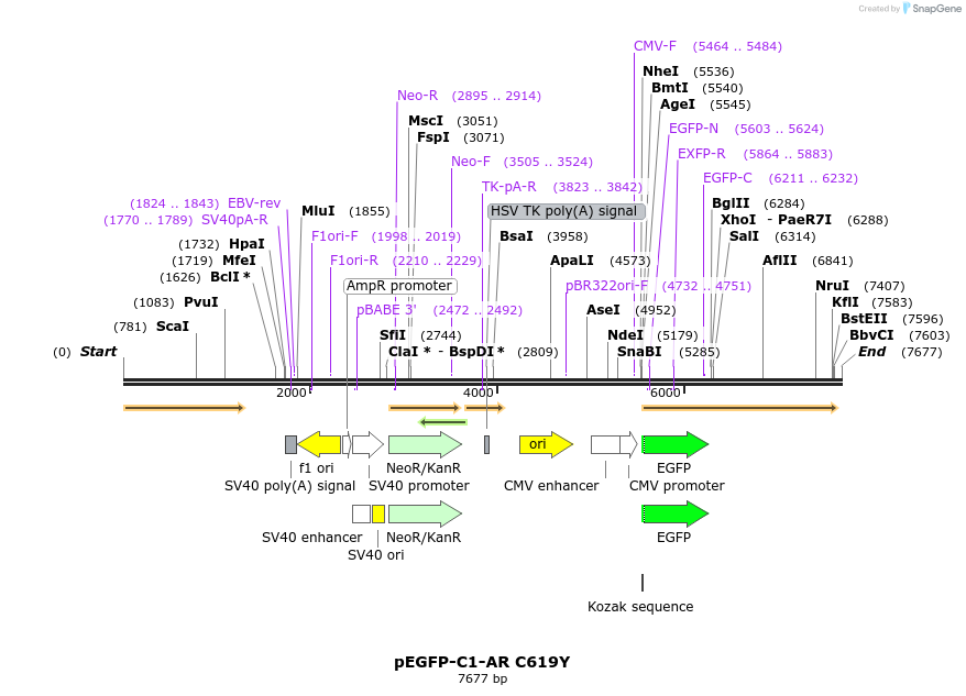 174054_map