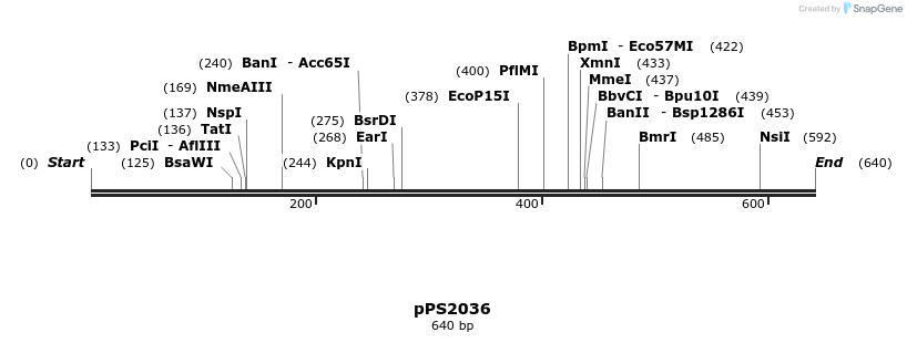 17406_map