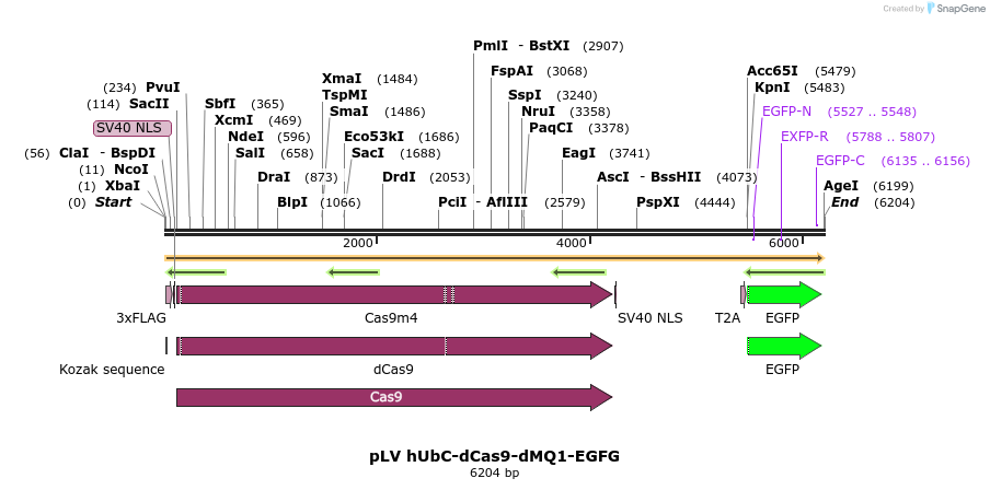 174076_map