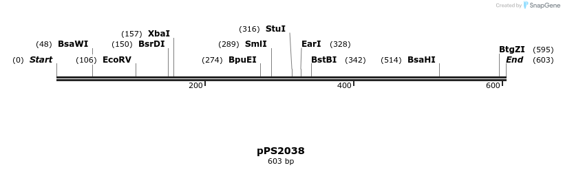 17408_map