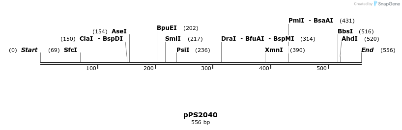 17409_map