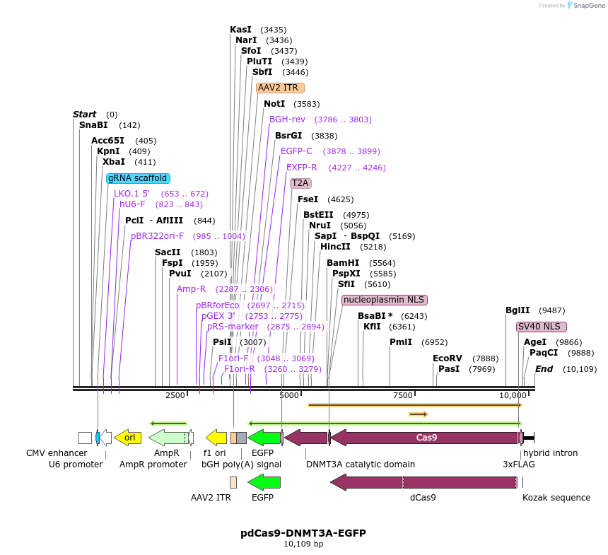 174094_map