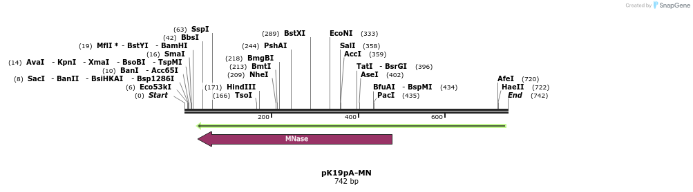 174105_map