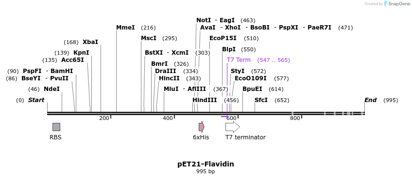 174138_map