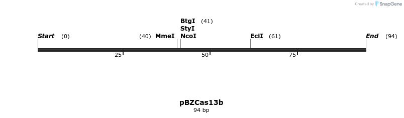 174201_map