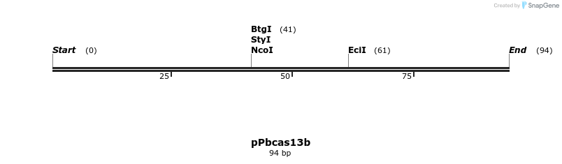 174204_map