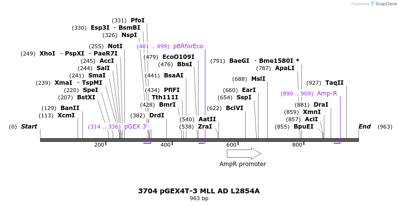 17427_map