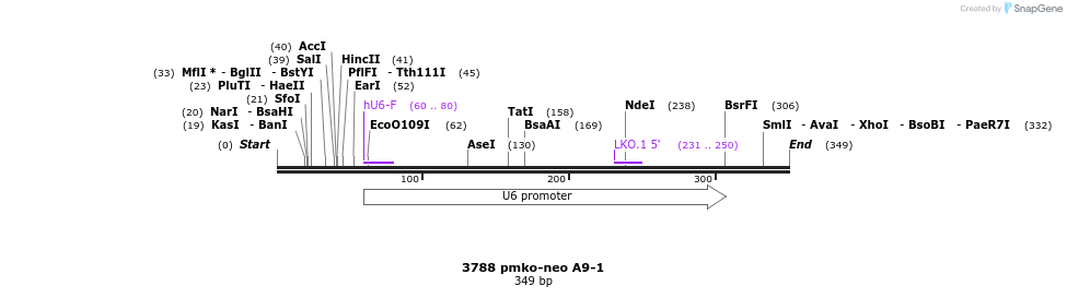 17428_map