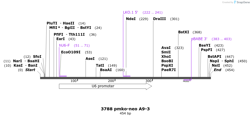 17429_map