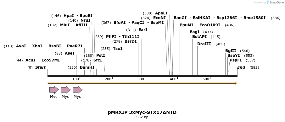 174290_map