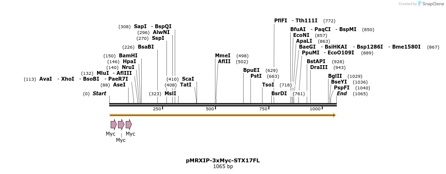 174294_map
