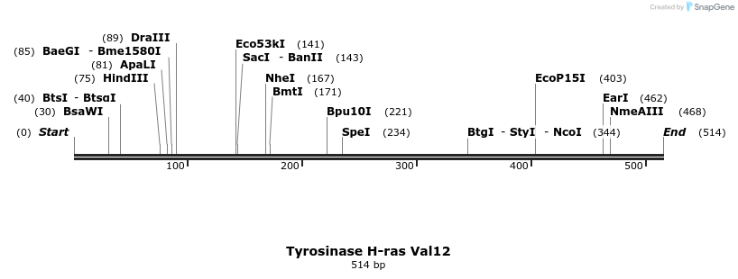 17438_map