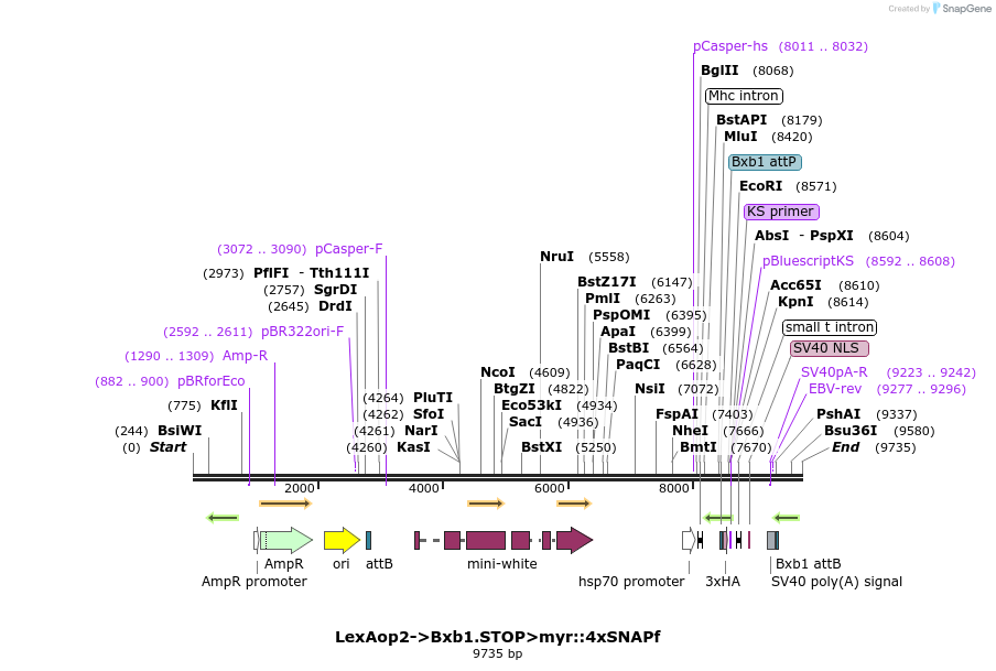 174403_map