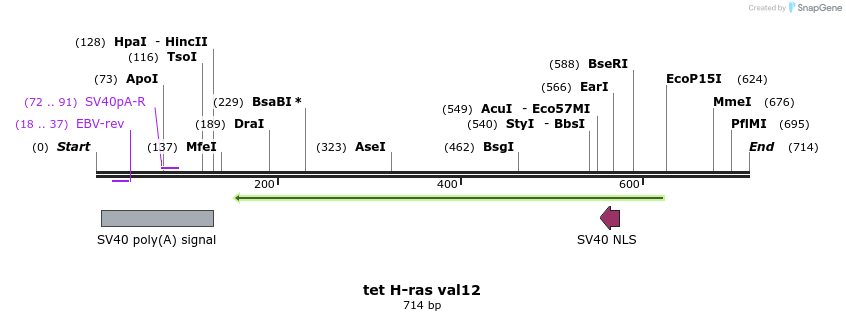 17441_map