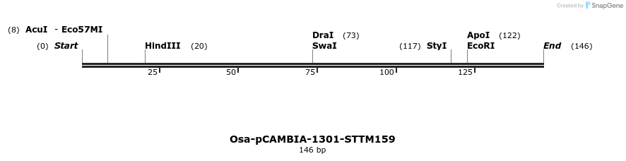 174483_map