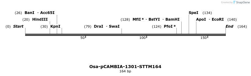 174485_map