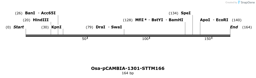 174486_map