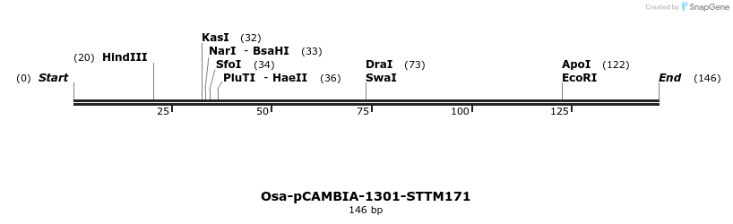 174487_map