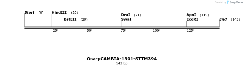 174491_map