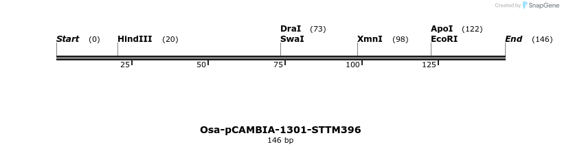 174494_map