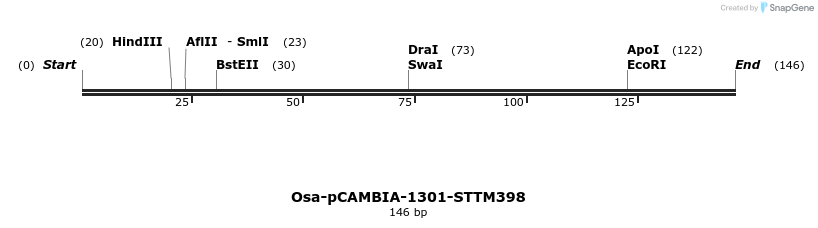 174496_map
