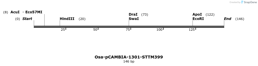 174497_map