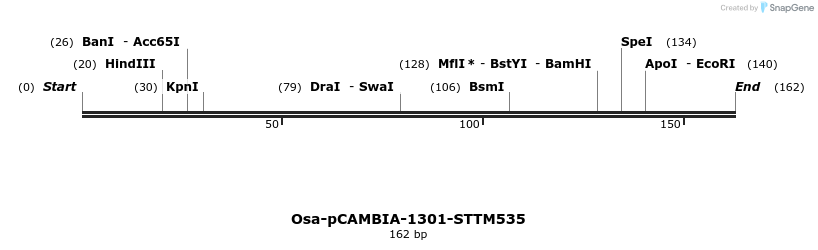 174509_map