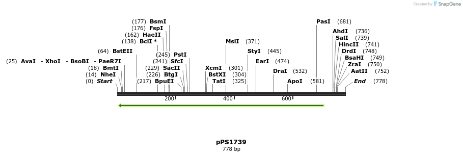 17451_map