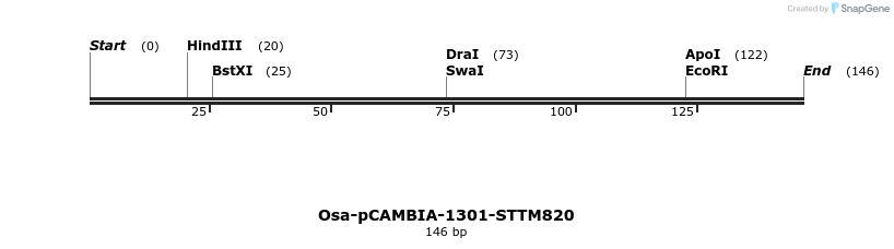174510_map