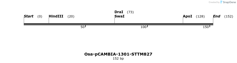 174511_map
