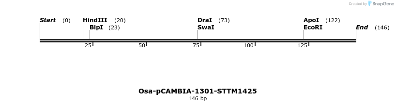 174512_map