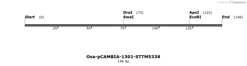 174517_map