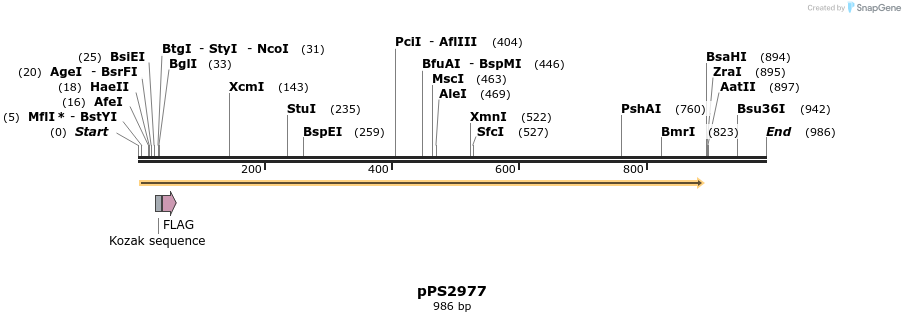 17455_map